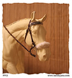 Hackamore bridle for model horses made by Jana Skybova